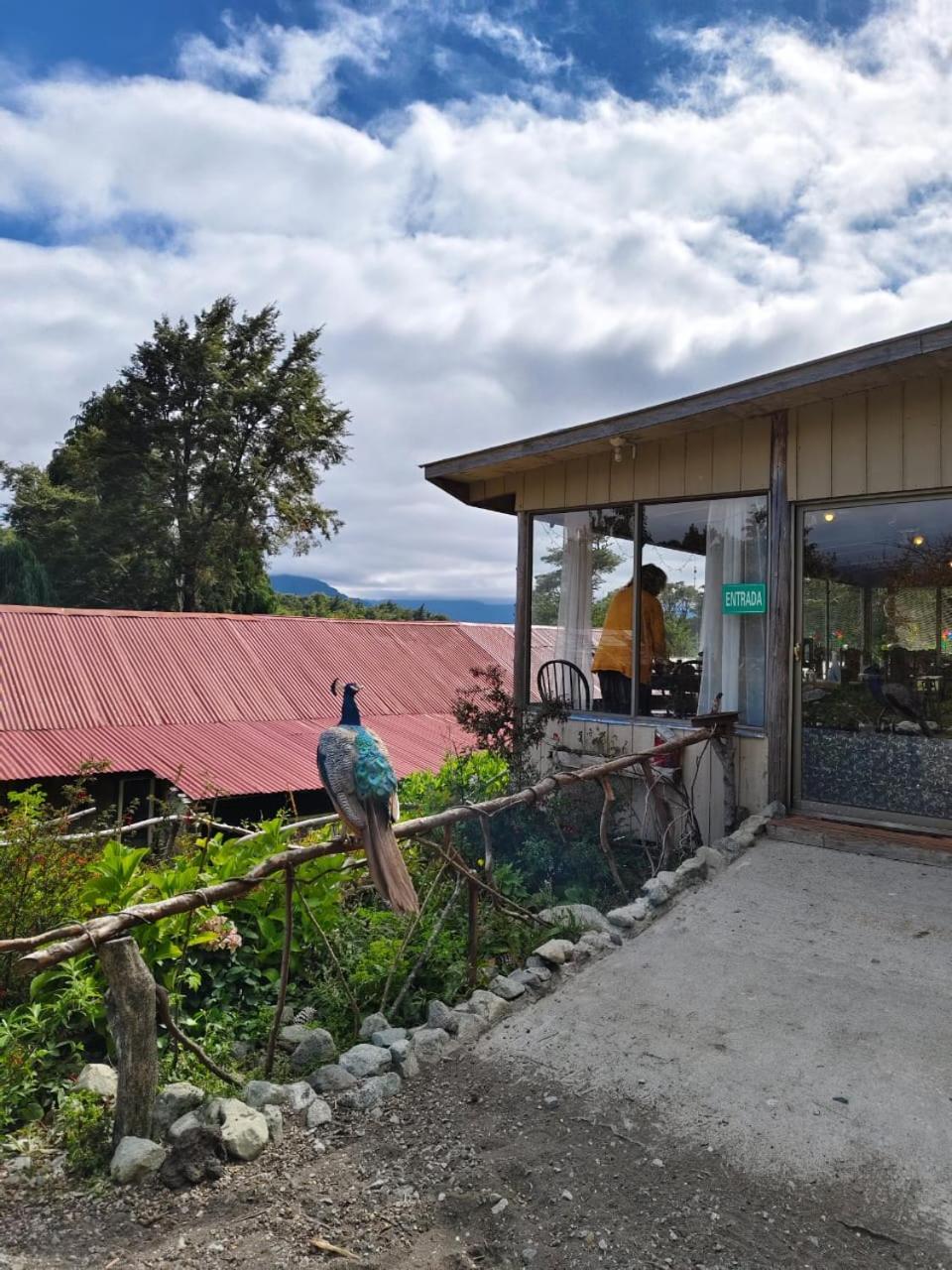 Petrohue Hospedaje Donde La Nena Экстерьер фото